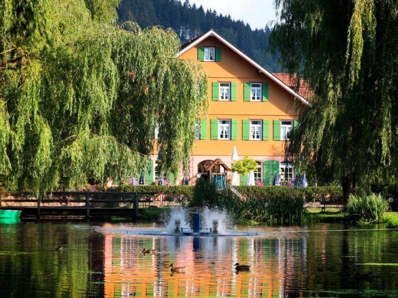 Seeblick Hotel zur Alten Mühle