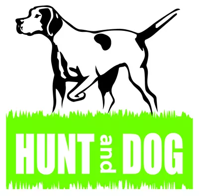 Bild zu Hunt and Dog